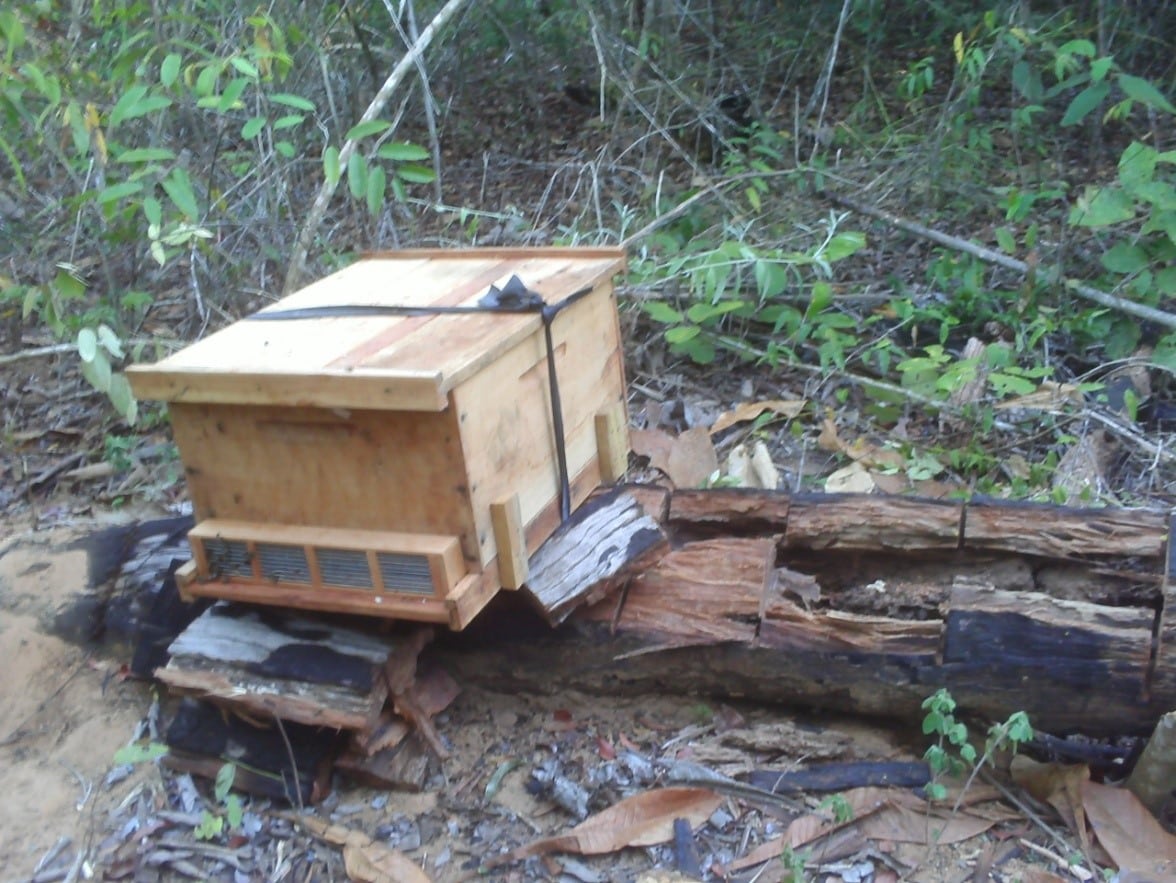 Finished beehive Finished beehive