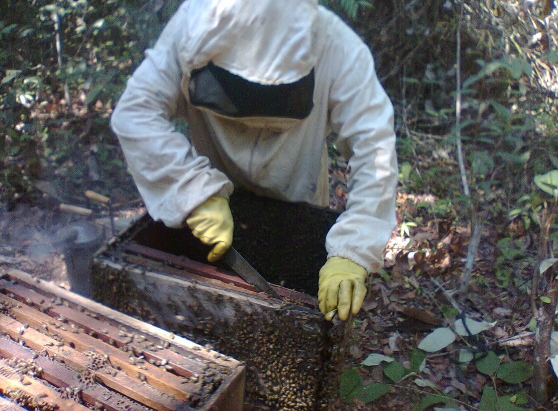 Myky beeworker Myky beeworker