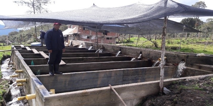 fishtankconstruction