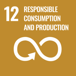 12 Responsible consumption and production 12 Responsible consumption and production