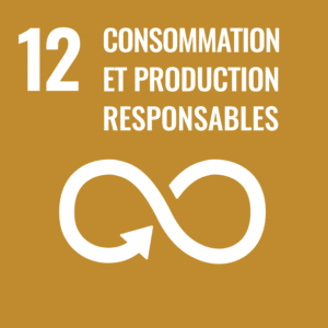 12 Consommation et production responsables 12 Consommation et production responsables