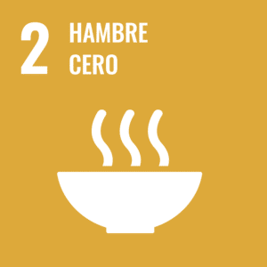 2 Hambre cero 2 Hambre cero