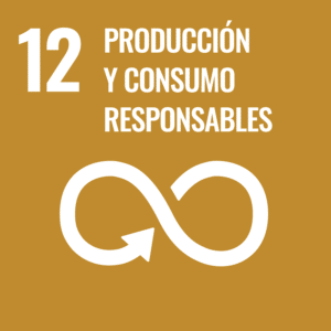 12 Consumo y producción responsables