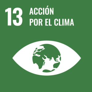 13 Acción por el Clima 13 Acción por el Clima